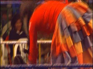 Konnie Huq Pied / Wrestling