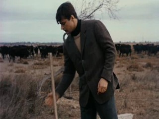 Belle de Jour Mud (Bondage)