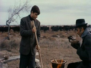 Belle de Jour Mud (Bondage)