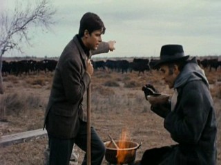 Belle de Jour Mud (Bondage)