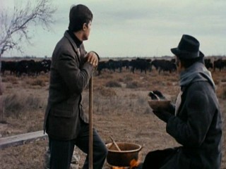 Belle de Jour Mud (Bondage)