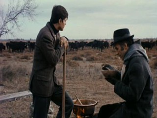 Belle de Jour Mud (Bondage)