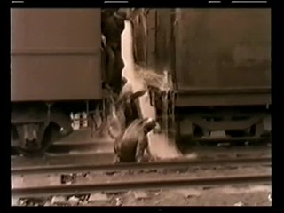 Sally of the Sawdust