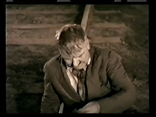 Sally of the Sawdust