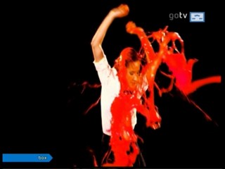 Music video Wildes Ding