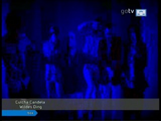 Music video Wildes Ding