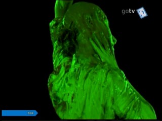 Music video Wildes Ding