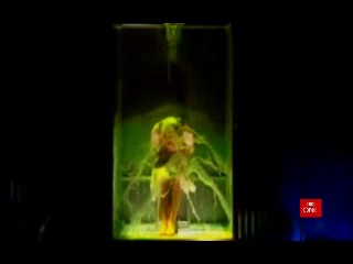 Sliming on Teach Ya! Taught Ya!