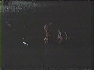 Satin Blouse & Skirt in the Lake