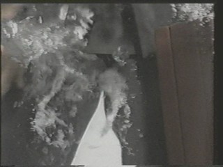 Visa Ad; people in a tank