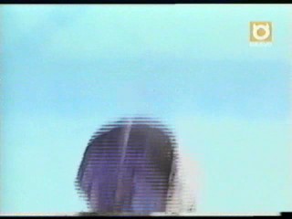 Sin Cities - Wamtec Pie Shoots