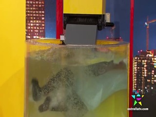 Noches com Platanito