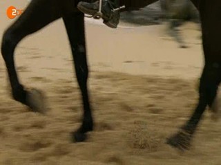 Rosamund Pilcher - 4 Jahreszeiten