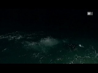 Starnacht am WÃ¶rthersee