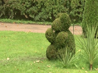 The Fountains of Peterhof