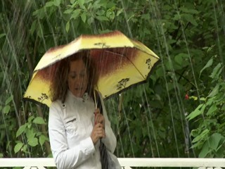 The Fountains of Peterhof