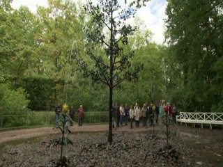 The Fountains of Peterhof