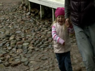 The Fountains of Peterhof