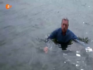 Katie Fford - Vergissmeinnicht