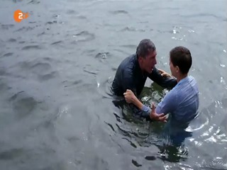 Katie Fford - Vergissmeinnicht