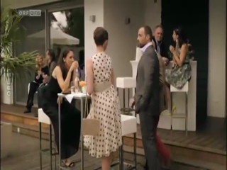 Vorstadtweiber episode 2