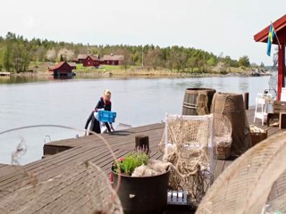 Inga LindstroÌˆm Das Postboot in den SchaÌˆren