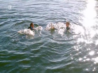 Inga LindstroÌˆm Das Postboot in den SchaÌˆren