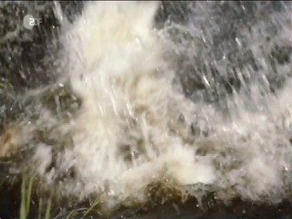 Die Frau aus dem Moor 