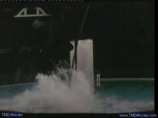 My Boss Daughter - pool scene.mpg