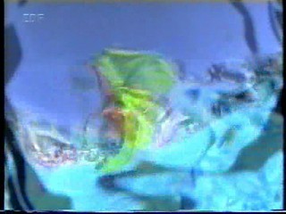 Fernsgarten - Juergen Drews small47.mpg