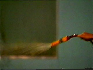 Big Brother 1 - showering with hose