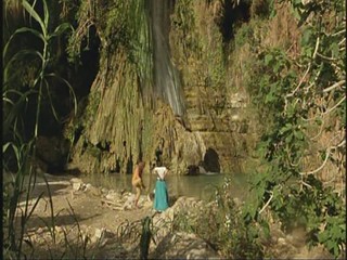 Das blaue Paradise 1982