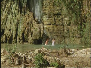 Das blaue Paradise 1982