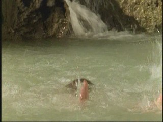 Das blaue Paradise 1982