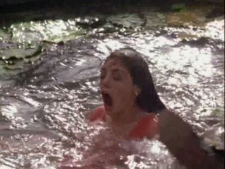 Princess Diaries 2 - Royal Engagement