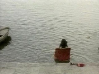 The Peacock Spring (1996)