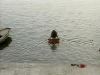 The Peacock Spring (1996)