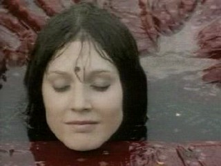 The Peacock Spring (1996)