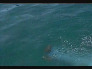 The Truth about Spring