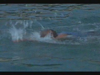 The Truth about Spring