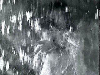 Perfume - Aqua di Roma