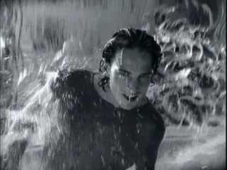 Perfume - Aqua di Roma