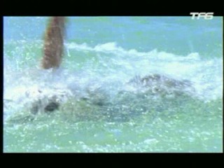 Le Retour d'Arsène Lupin (aka Requins à la Havane)