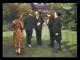 An Alligator Named Daisy