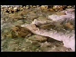 ZDF - fishing in river