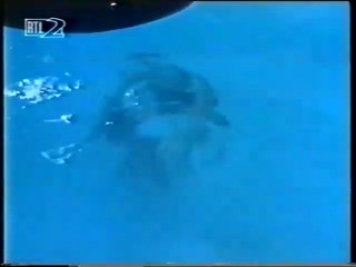 The Other Side of the Mountain