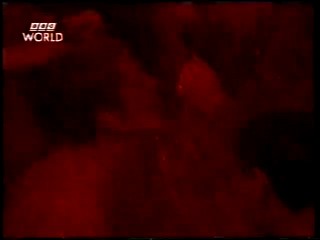 BBC - Clip from Es Paradise