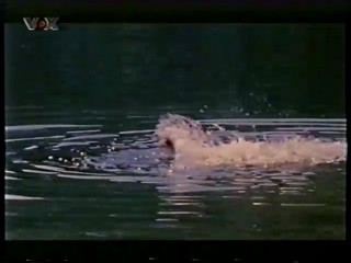 VOX - TV movie - rescue of woman