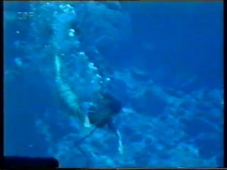 ZDF TV movie - mermaid show