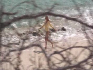 Survival Island Trailer